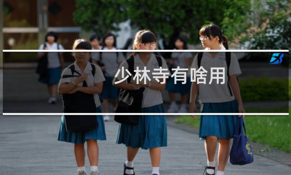 少林寺有啥用