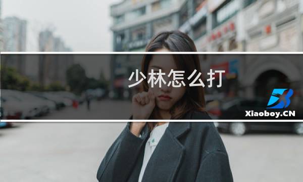 少林怎么打