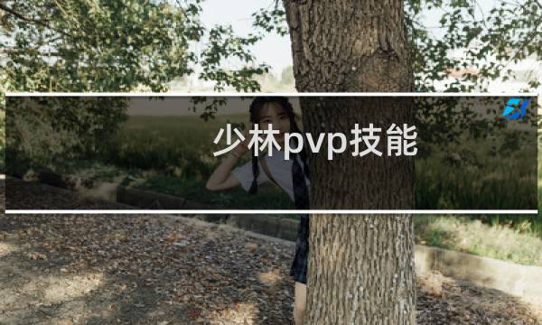 少林pvp技能