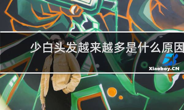 少白头发越来越多是什么原因