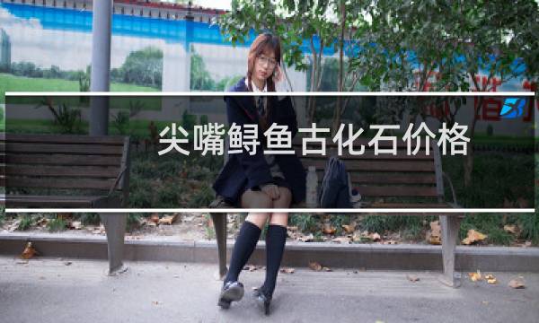 尖嘴鲟鱼古化石价格