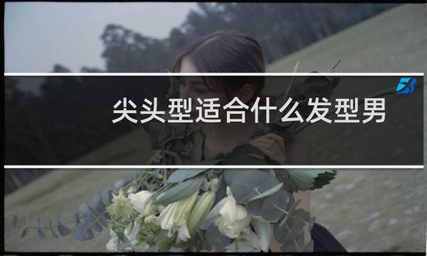 尖头型适合什么发型男