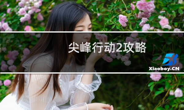 尖峰行动2攻略