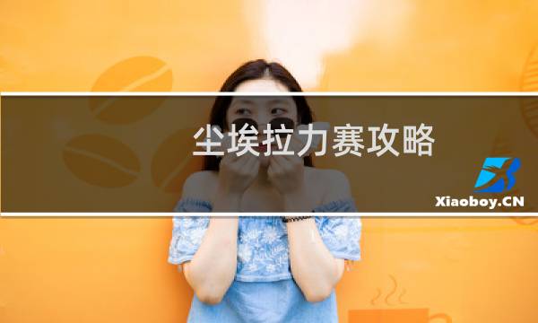 尘埃拉力赛攻略