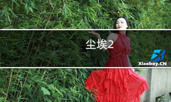 尘埃2 攻略