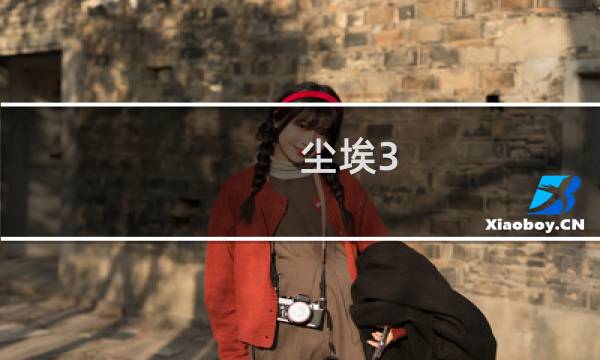 尘埃3  攻略