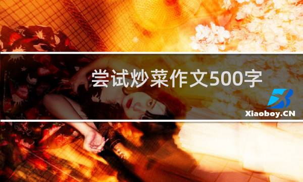 尝试炒菜作文500字