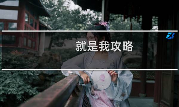 就是我攻略