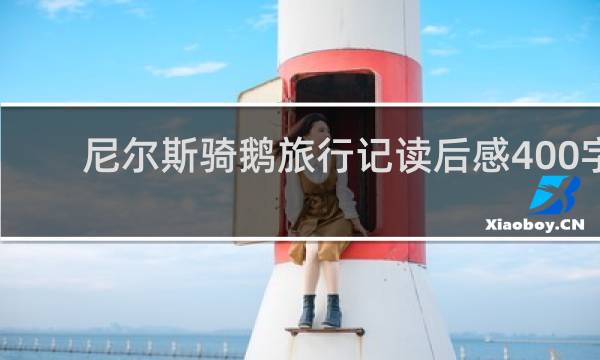 尼尔斯骑鹅旅行记读后感400字