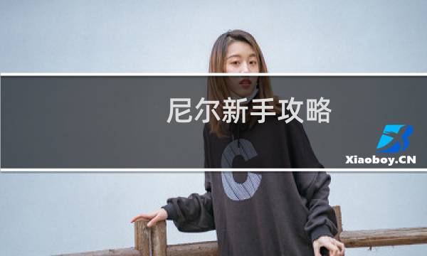 尼尔新手攻略