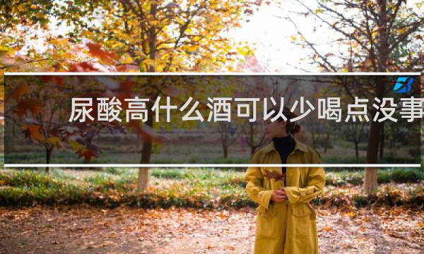 尿酸高什么酒可以少喝点没事