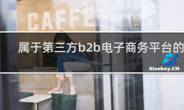 属于第三方b2b电子商务平台的是