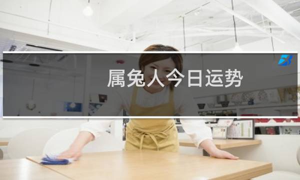 属兔人今日运势
