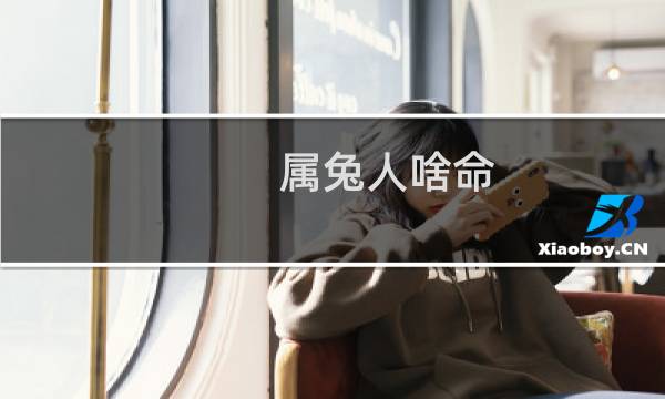 属兔人啥命