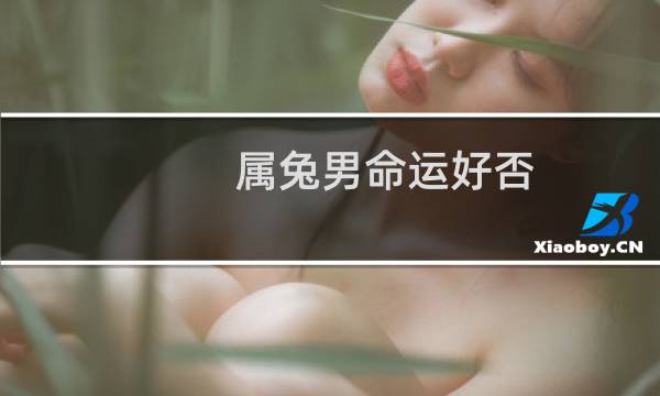 属兔男命运好否