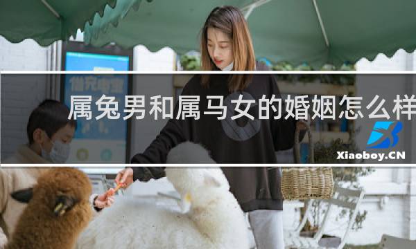 属兔男和属马女的婚姻怎么样