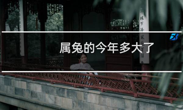属兔的今年多大了