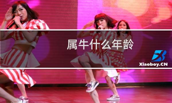 属牛什么年龄