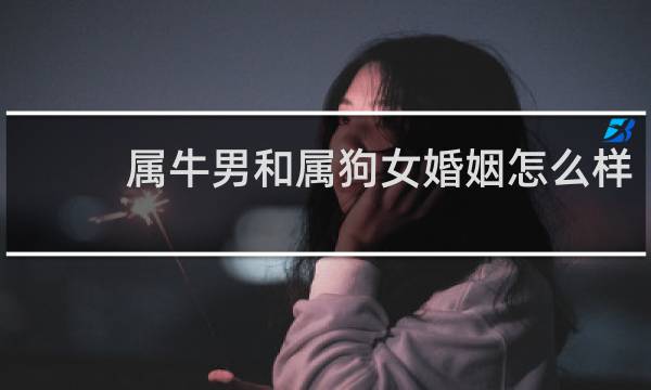属牛男和属狗女婚姻怎么样