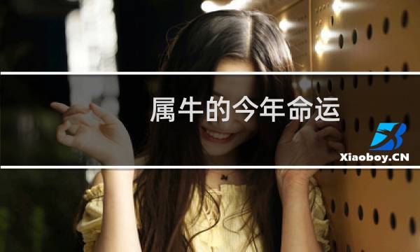 属牛的今年命运