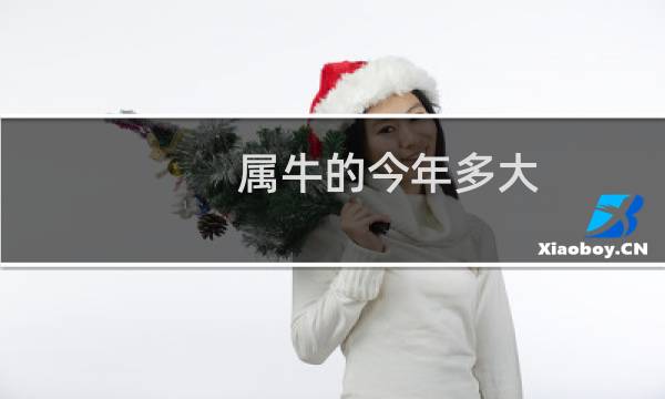 属牛的今年多大