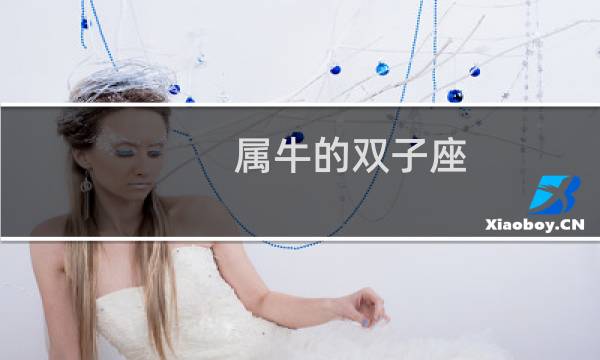 属牛的双子座