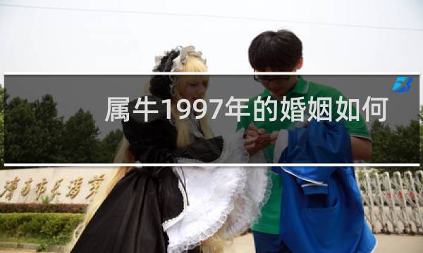 属牛1997年的婚姻如何