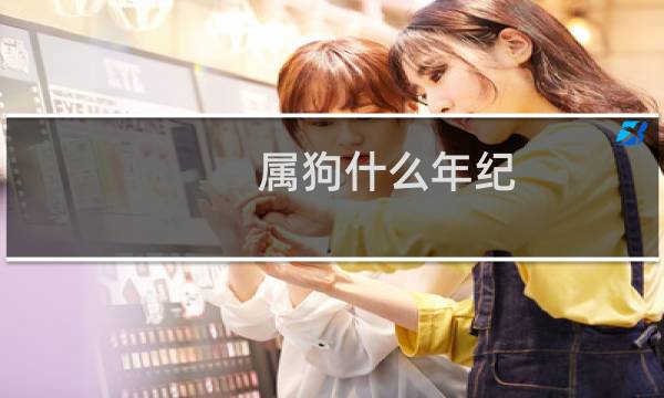 属狗什么年纪