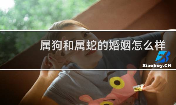 属狗和属蛇的婚姻怎么样