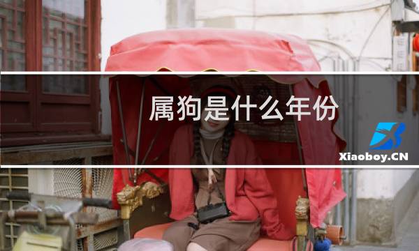 属狗是什么年份
