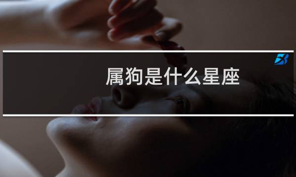 属狗是什么星座