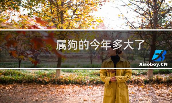 属狗的今年多大了