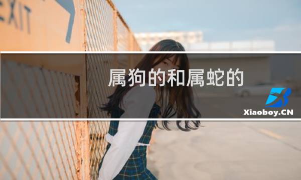 属狗的和属蛇的