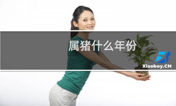 属猪什么年份