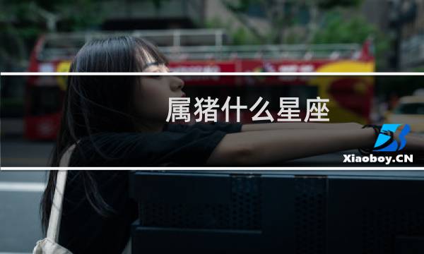 属猪什么星座