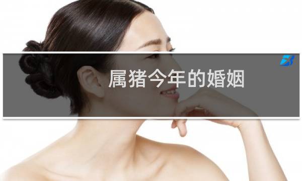属猪今年的婚姻