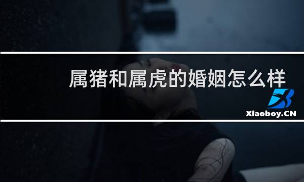 属猪和属虎的婚姻怎么样
