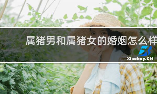 属猪男和属猪女的婚姻怎么样
