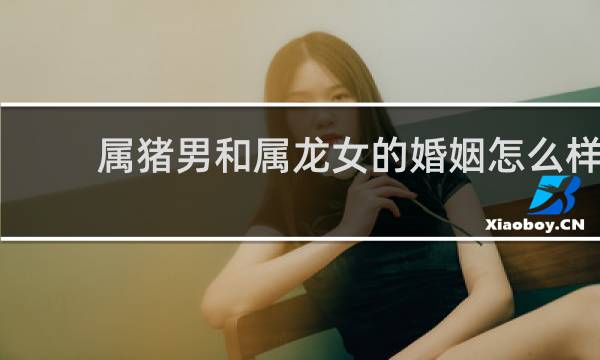 属猪男和属龙女的婚姻怎么样
