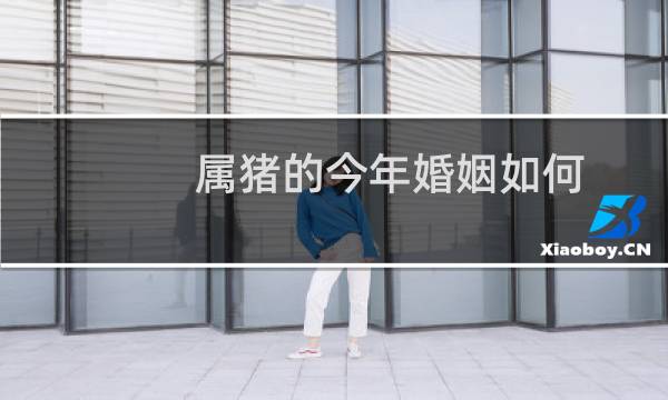 属猪的今年婚姻如何