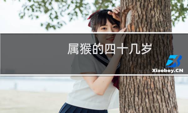 属猴的四十几岁