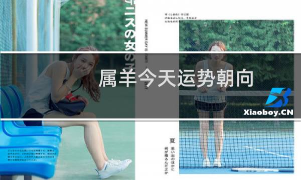 属羊今天运势朝向