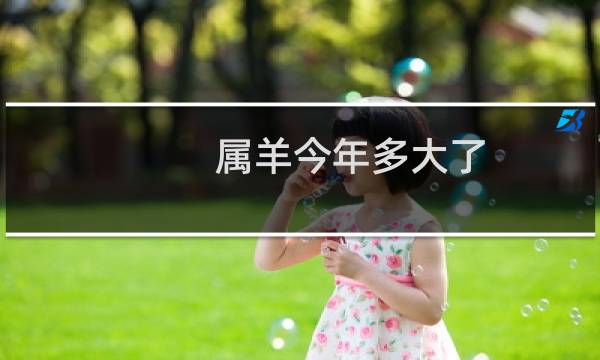 属羊今年多大了