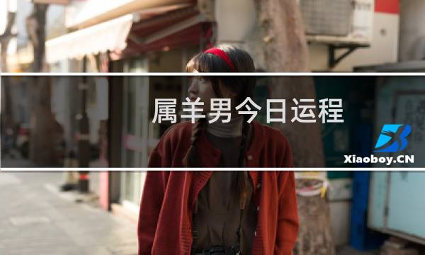属羊男今日运程