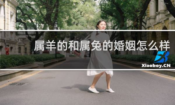 属羊的和属兔的婚姻怎么样