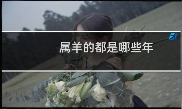 属羊的都是哪些年
