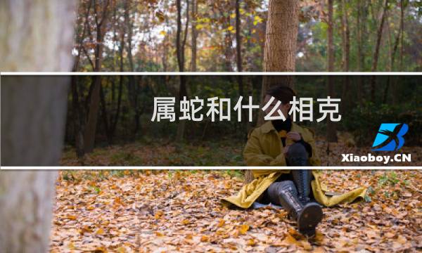 属蛇和什么相克