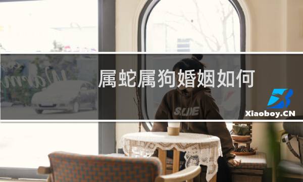 属蛇属狗婚姻如何