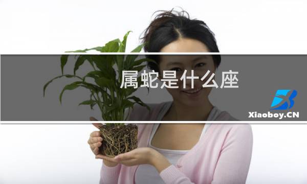 属蛇是什么座