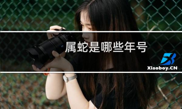 属蛇是哪些年号